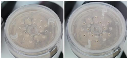 Пудра Минеральная мери кей. Mary Kay Mineral Powder Foundation Минеральная рассыпчатая пудра