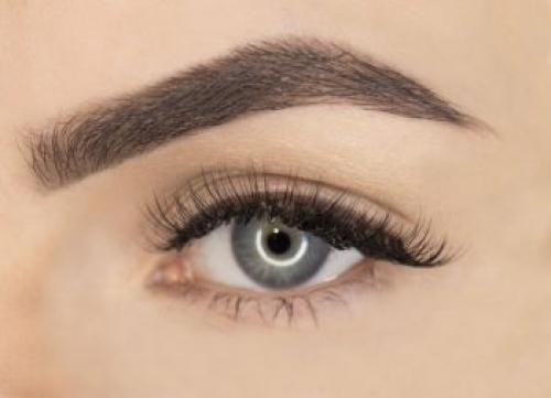 Архитектура бровей схемы. Основы архитектуры бровей