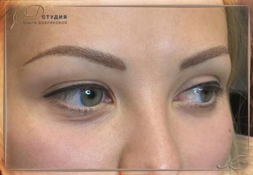 Комбинированная техника татуажа бровей. Выбираем татуаж по типу кожи 01 Комбинированная техника татуажа бровей. Выбираем татуаж по типу кожи 01