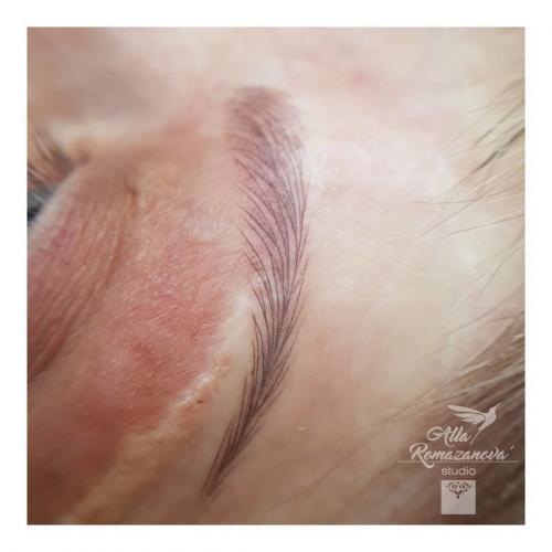 Волосковая техника бровей. Какую технику татуажа бровей выбрать - волосковую или растушевку?