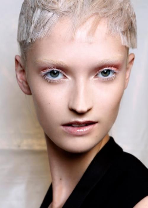 Как обезжирить ресницы в домашних условиях. Чем можно обезжирить ресницы 12 Как обезжирить ресницы в домашних условиях. Чем можно обезжирить ресницы 12