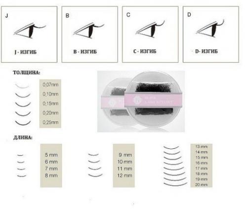 Как часто меняются ресницы у человека. Анатомия ресниц 08 Как часто меняются ресницы у человека. Анатомия ресниц 08