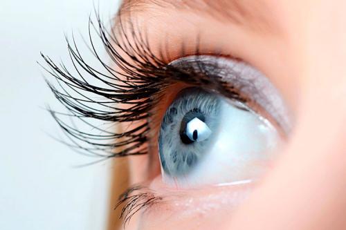 Физиология ресниц. Ресницы: функции, строение, фазы роста