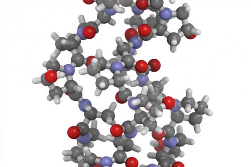 Состав кератина для волос. Что такое кератин?