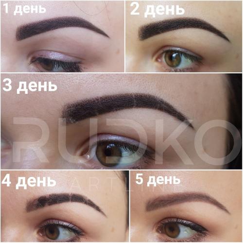 Заживление пудровых бровей по дням
