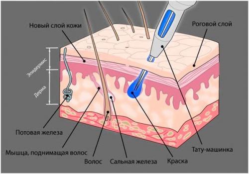 Пудровый татуаж бровей. Что такое напыление бровей