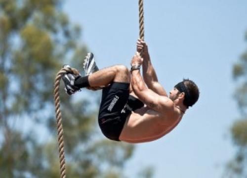 Предплечье. Предплечья - упражнения, анатомия, особенности тренировки
