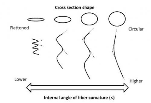 Кератиновое выпрямление волос запрещено в европе. Постойте, а как же волшебный кератин?