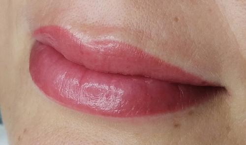 Как делается перманентный макияж губ. Напыление губ. Перманентный макияж губ, который я бы сделала