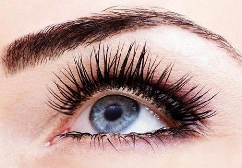 Ресницы это. Какие функции выполняют ресницы и брови: строение и характеристика волосков