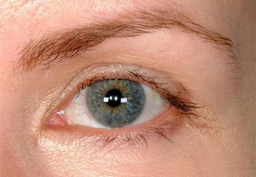 Ресницы это. Какие функции выполняют ресницы и брови: строение и характеристика волосков