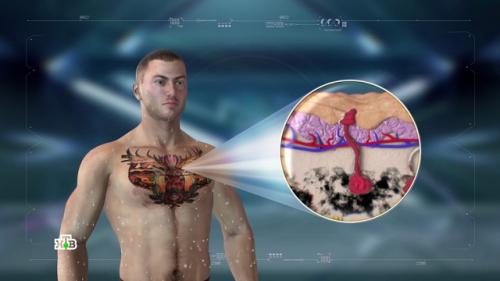 Краски для татуажа состав. Краски для татуировки и их состав 07 Краски для татуажа состав. Краски для татуировки и их состав 07