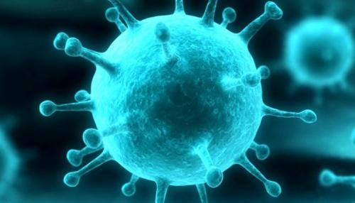 Татуаж при беременности можно ли делать. Татуаж во время беременности: обратная сторона красоты 02