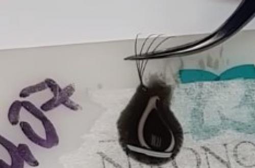 Пучковые ресницы для наращивания. Способы формирования пучков для объемного наращивания ресниц