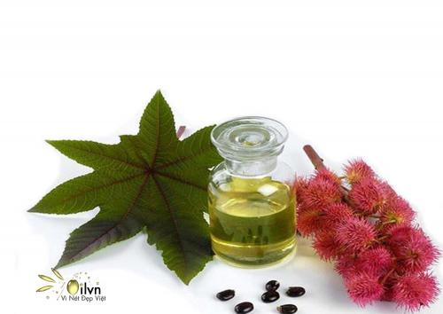 Заживление Бровей после татуажа. Первые дни после перманентного татуажа 15 Заживление Бровей после татуажа. Первые дни после перманентного татуажа 15