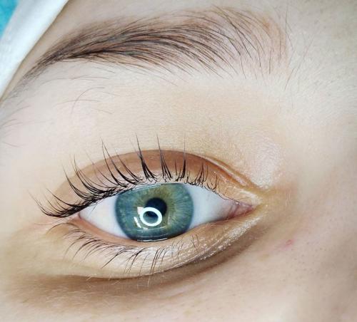 Как красить ресницы при ламинировании. О ламинировании ресниц дома и в салоне