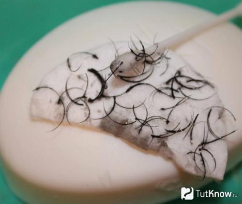 Средство для удаления нарощенных ресниц. Как безопасно снять нарощенные ресницы в домашних условиях 26 Средство для удаления нарощенных ресниц. Как безопасно снять нарощенные ресницы в домашних условиях 26