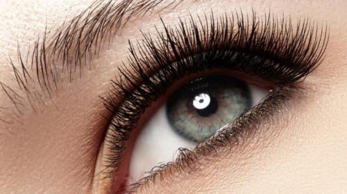 Обезжириватель для ресниц срок годности. Праймер для ресниц