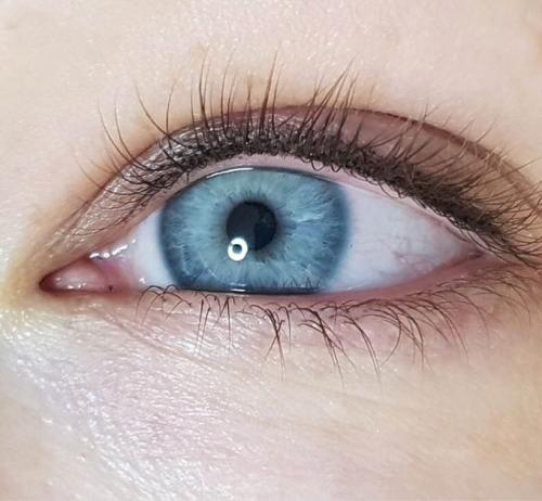 Долговременные стрелки на глазах. Виды микроблейдинга век 05