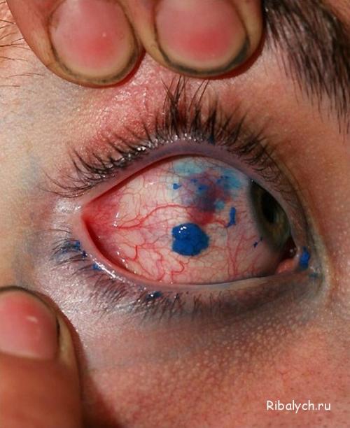 Больно ли делать стрелки татуаж. Больно ли делать перманентные стрелки, используется ли анестезия? 18 Больно ли делать стрелки татуаж. Больно ли делать перманентные стрелки, используется ли анестезия? 18