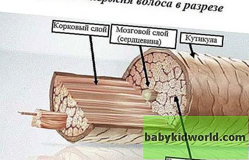 Техника кератиновое выпрямление волос. Что такое кератиновое выпрямление? 03 Техника кератиновое выпрямление волос. Что такое кератиновое выпрямление? 03