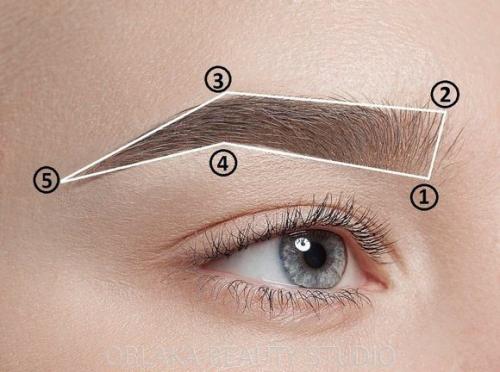 Правильная архитектура бровей. Основы архитектуры бровей. 02 Правильная архитектура бровей. Основы архитектуры бровей. 02