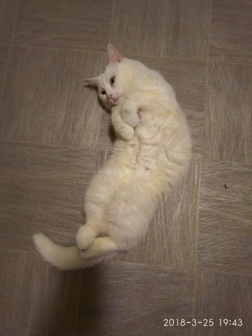 Клей для джинсовой ткани. Спасет ли ПВА джинсы?