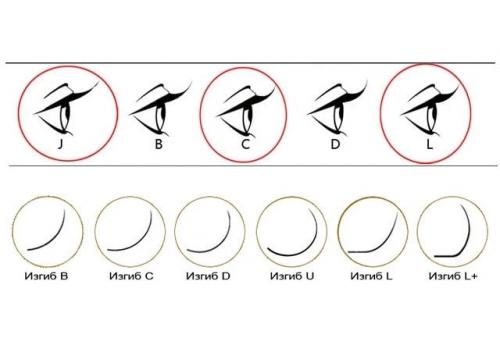 Ресницы 3д изгиб с. Какие изгибы ресниц выбрать для азиатских глаз?