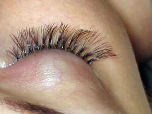 Кошачий эффект наращивания ресниц. Эффекты наращивания ресниц (48 фото) – создаём неповторимый и завораживающий взгляд