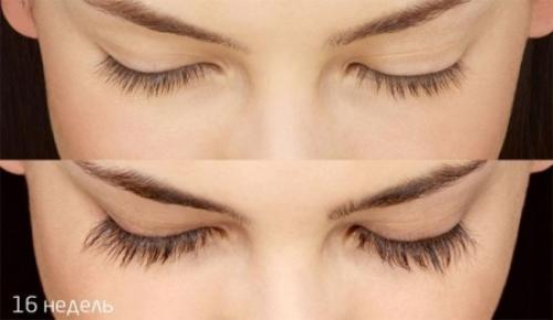 Масло усьмы, что такое. Полезные свойства 02 Масло усьмы, что такое. Полезные свойства 02