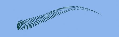 Перманентный макияж бровей в технике теневой растушевки. Что такое растушевка бровей 04 Перманентный макияж бровей в технике теневой растушевки. Что такое растушевка бровей 04