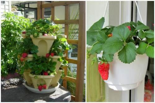 Интимная депиляция мужская в домашних условиях. Виды мужской эпиляции 10 Интимная депиляция мужская в домашних условиях. Виды мужской эпиляции 10