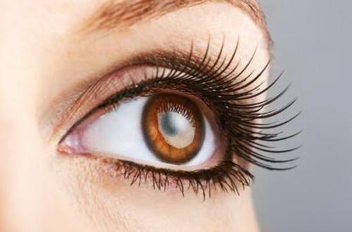 Как накрасить ресницы без туши. Как сделать ресницы длиннее без туши - 6 шагов к красивым глазам