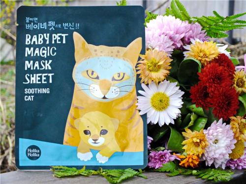 Тканевые маски для жирной кожи. Тканевые маски для лица: 10 лучших