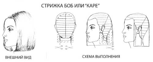 Прическа нуры скам от А до Я