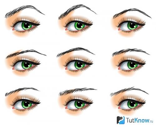 Формы бровей. Какая бывает форма бровей