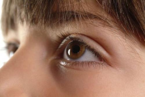 Фото макияжа глаз. Оформление макияж под карие глаза — лучшие идеи по сочетанию