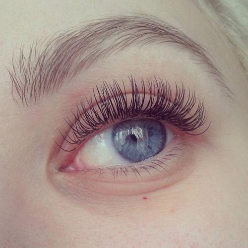 Все о ресницах для наращивания. Все о наращивании ресниц: 6 технологий — выбери свою