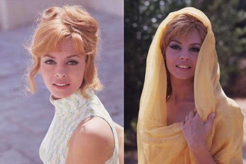 Макияж мишель мерсье в анжелике. Секреты красоты Мишель Мерсье