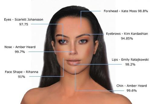 Золотое сечение лицо человека. Золотое сечение знаменитостей: специалисты выбрали 10 женщин с идеальными чертами лица