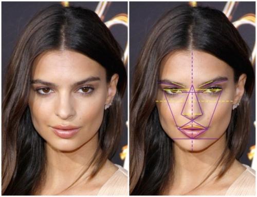 Золотое сечение лицо человека. Золотое сечение знаменитостей: специалисты выбрали 10 женщин с идеальными чертами лица