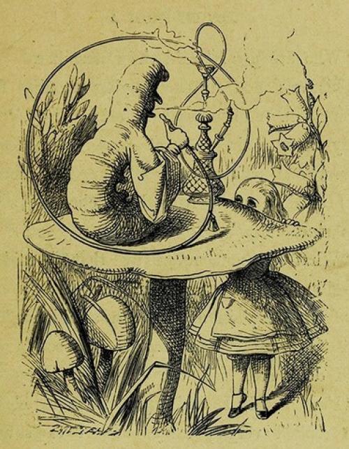 Алиса в стране чудес книга. Что такое «Алиса в Стране чудес»