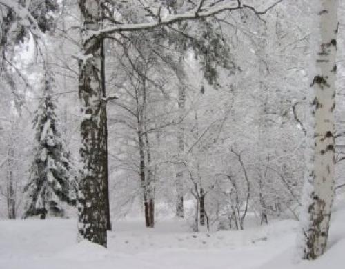 Корейцы о россии. Как выглядит Россия в глазах корейцев?