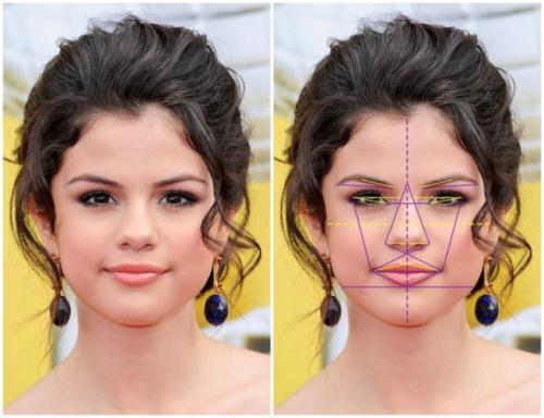 Золотое сечение лицо человека. Золотое сечение знаменитостей: специалисты выбрали 10 женщин с идеальными чертами лица