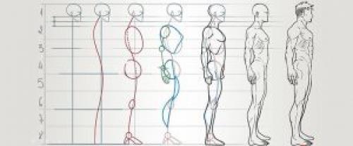 Анатомия лица для рисования. Пластическая анатомия для начинающих