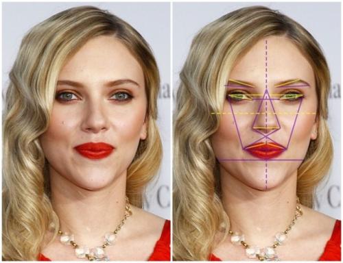 Золотое сечение лицо человека. Золотое сечение знаменитостей: специалисты выбрали 10 женщин с идеальными чертами лица