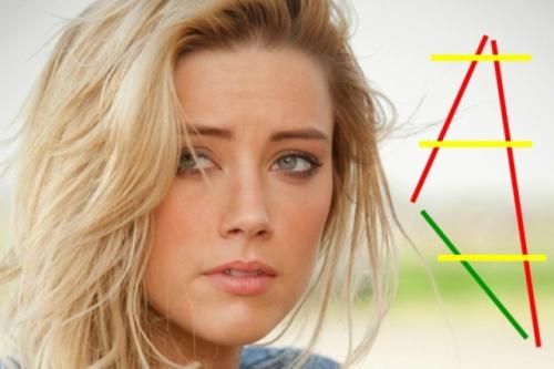 Золотое сечение лицо человека. Золотое сечение знаменитостей: специалисты выбрали 10 женщин с идеальными чертами лица