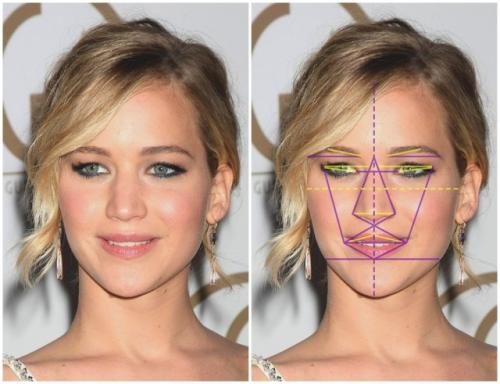 Золотое сечение лицо человека. Золотое сечение знаменитостей: специалисты выбрали 10 женщин с идеальными чертами лица