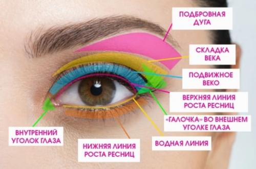 Как подвести глаза тенями. Как правильно красить глаза тенями – пошаговая инструкция с фото