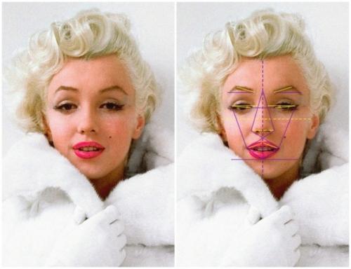 Золотое сечение лицо человека. Золотое сечение знаменитостей: специалисты выбрали 10 женщин с идеальными чертами лица